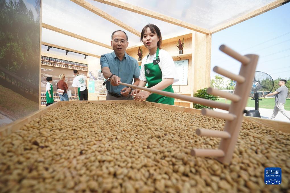 永利游戏误乐